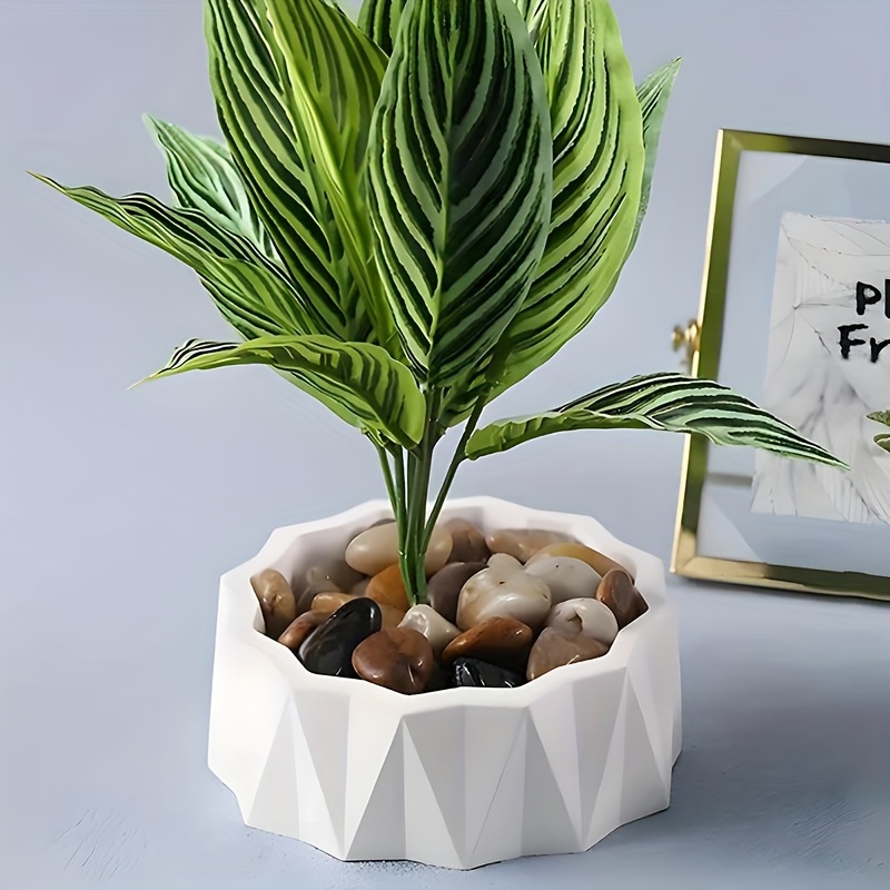 1/2pcs Large Round Irregular S - đánh giá và giá Potsticker Mold