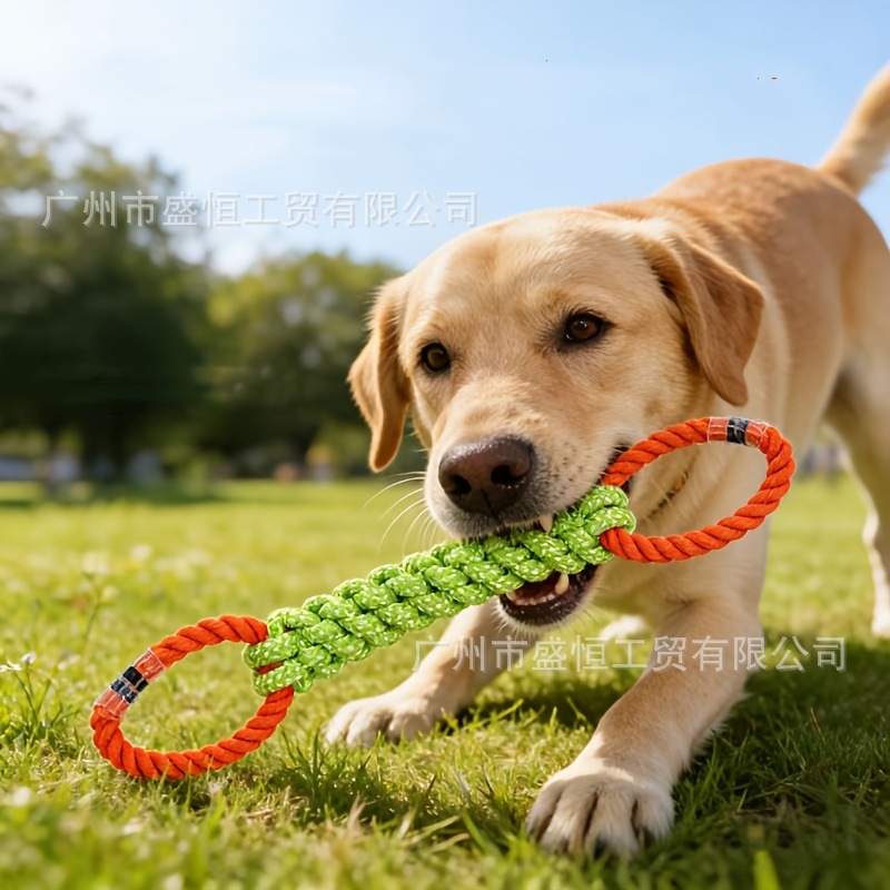 Pet toy cotton rope double-rin - đánh giá và giá Corn Dog Stick