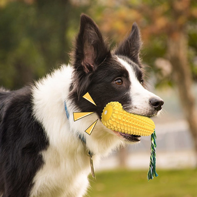 Squeaky Corn Dog Toothbrush Ch - đánh giá và giá Corn Dog Stick